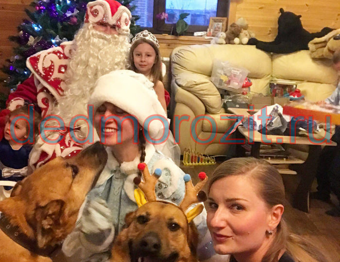 Служба заказа Деда Мороза и Снегурочки «Дед Морозит». Выступления дома