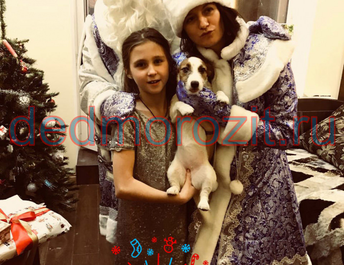 Служба заказа Деда Мороза и Снегурочки «Дед Морозит». Выступления дома