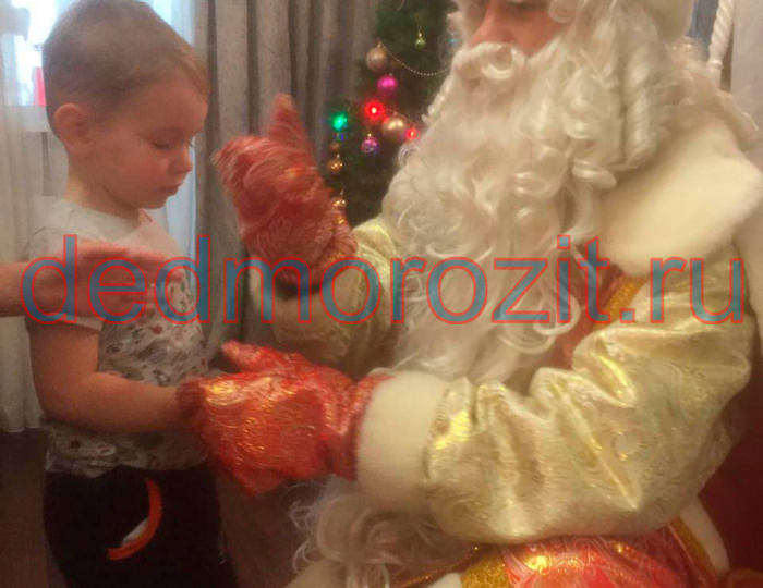 Служба заказа Деда Мороза и Снегурочки «Дед Морозит». Выступления дома